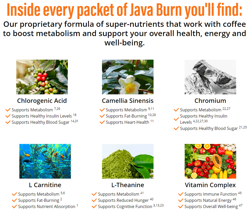 Java Burn Ingredients